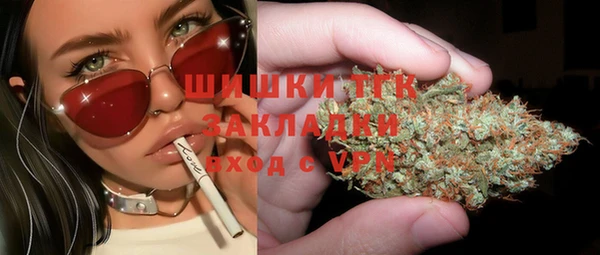 дживик Медвежьегорск