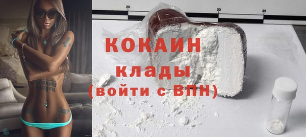 дживик Медвежьегорск