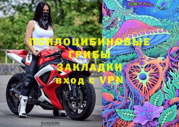 ALPHA PVP Мегион