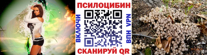 мега ССЫЛКА  Крым  Псилоцибиновые грибы мицелий 